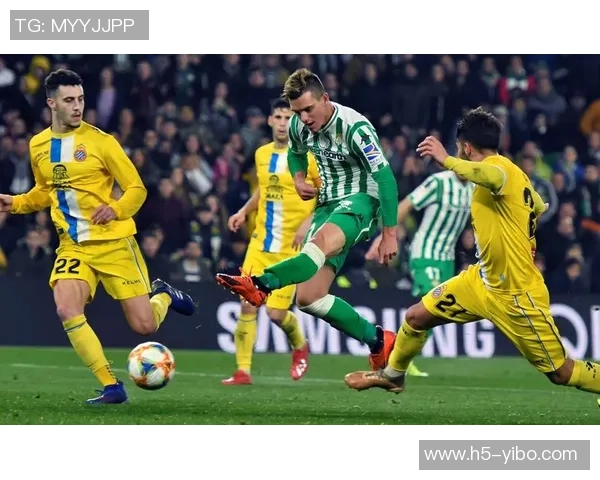 畅享pplive足球直播带来的精彩赛事体验与实时互动乐趣