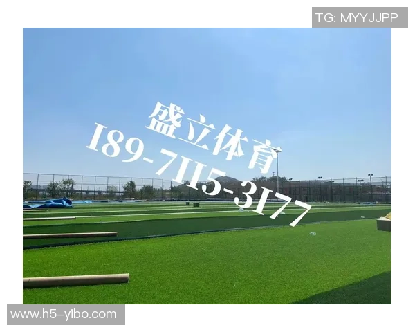 足球场人造草皮造价分析及影响因素探讨与市场趋势预测
